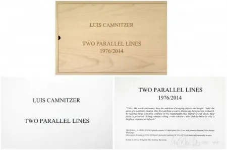 复数作品 Camnitzer - Two Parallel lines