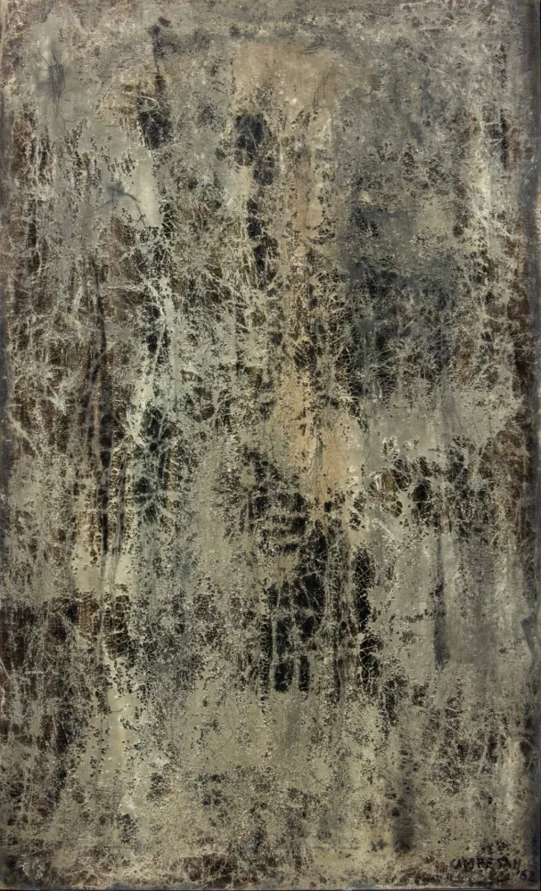 无技术 Campesan - BASSAMAREA