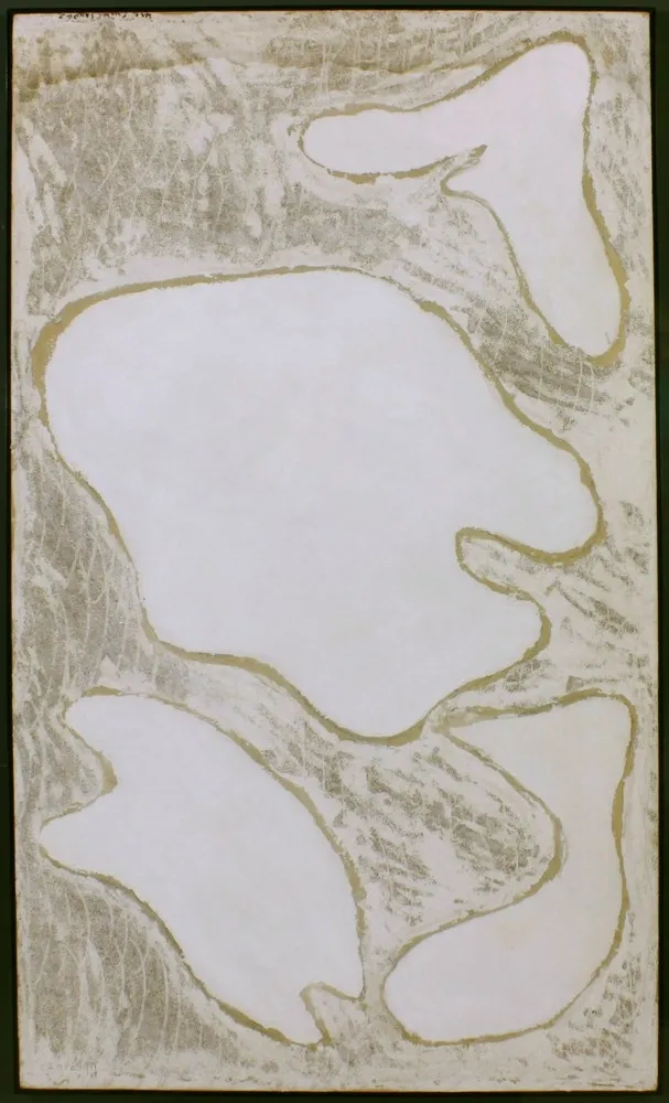 无技术 Campesan - SENZA TITOLO