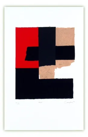 无技术 Canogar - Blasón