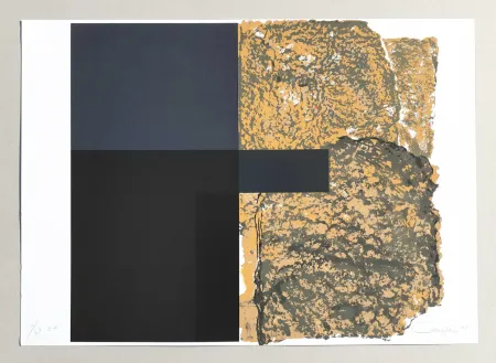 丝网印刷 Canogar - Composizione