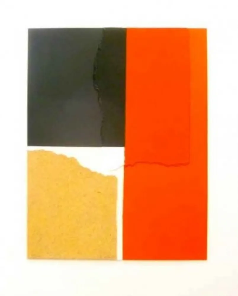 丝网印刷 Canogar - Crisol