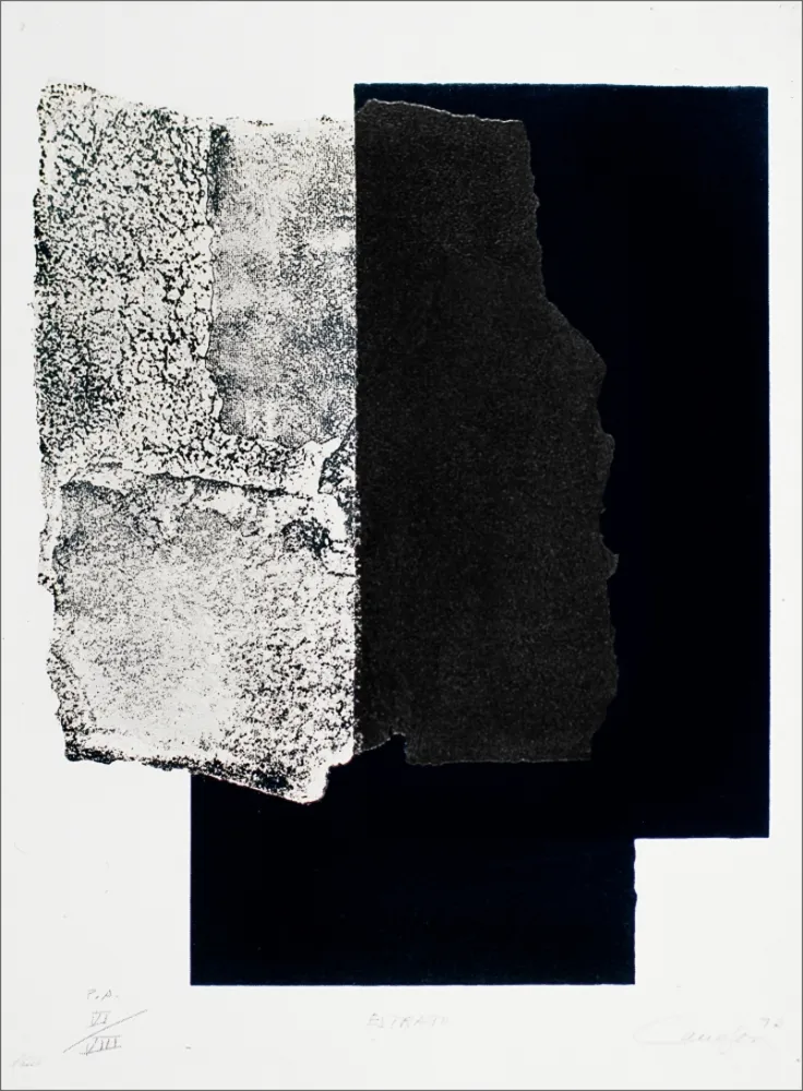 丝网印刷 Canogar - Estrato