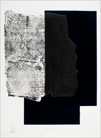 丝网印刷 Canogar - Estrato