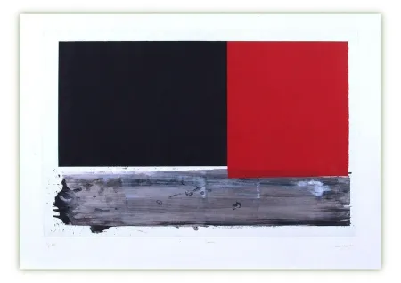 版画 Canogar - Lecho