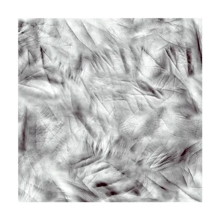 摄影 Canogar - Life Lines