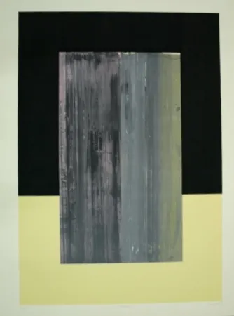 丝网印刷 Canogar - NOSTROJENA