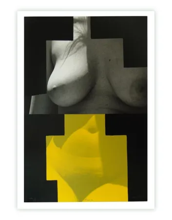 丝网印刷 Canogar - Puerta