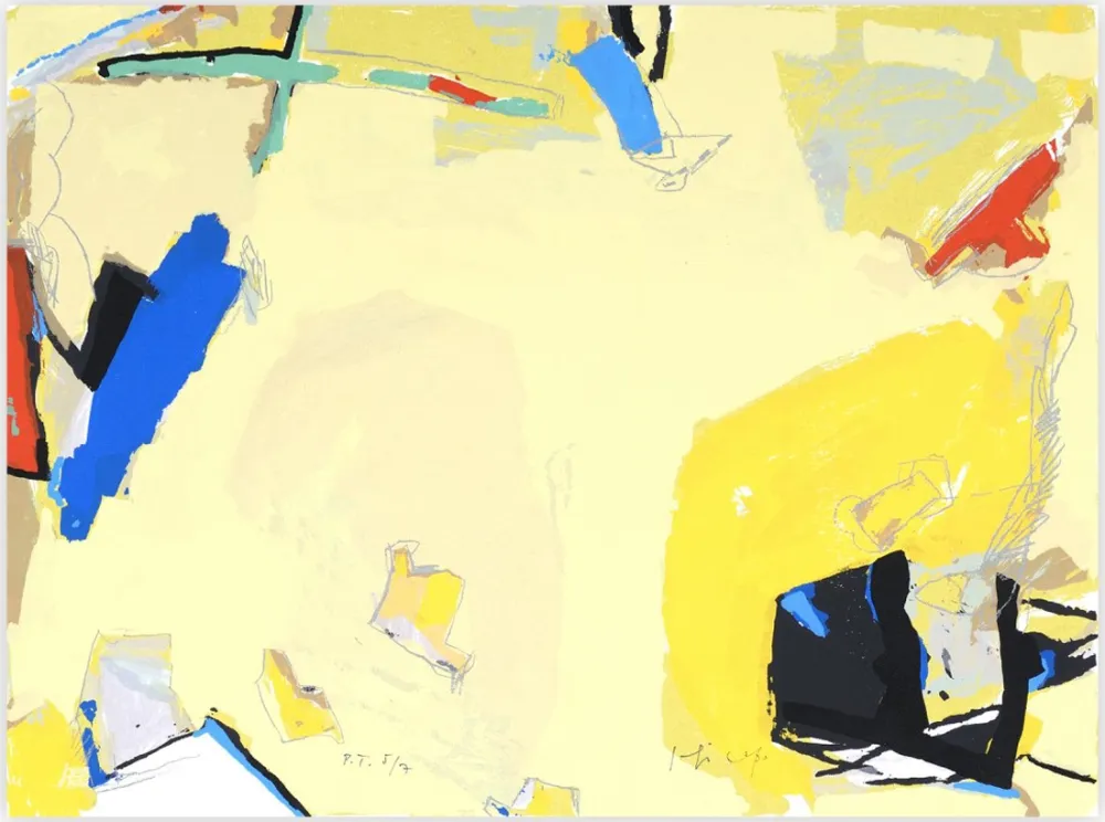 丝网印刷 Capa - Espacio Amarillo