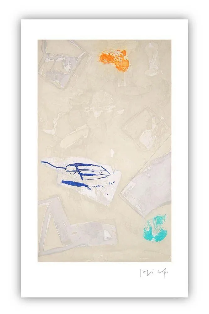 版画 Capa - Open gray