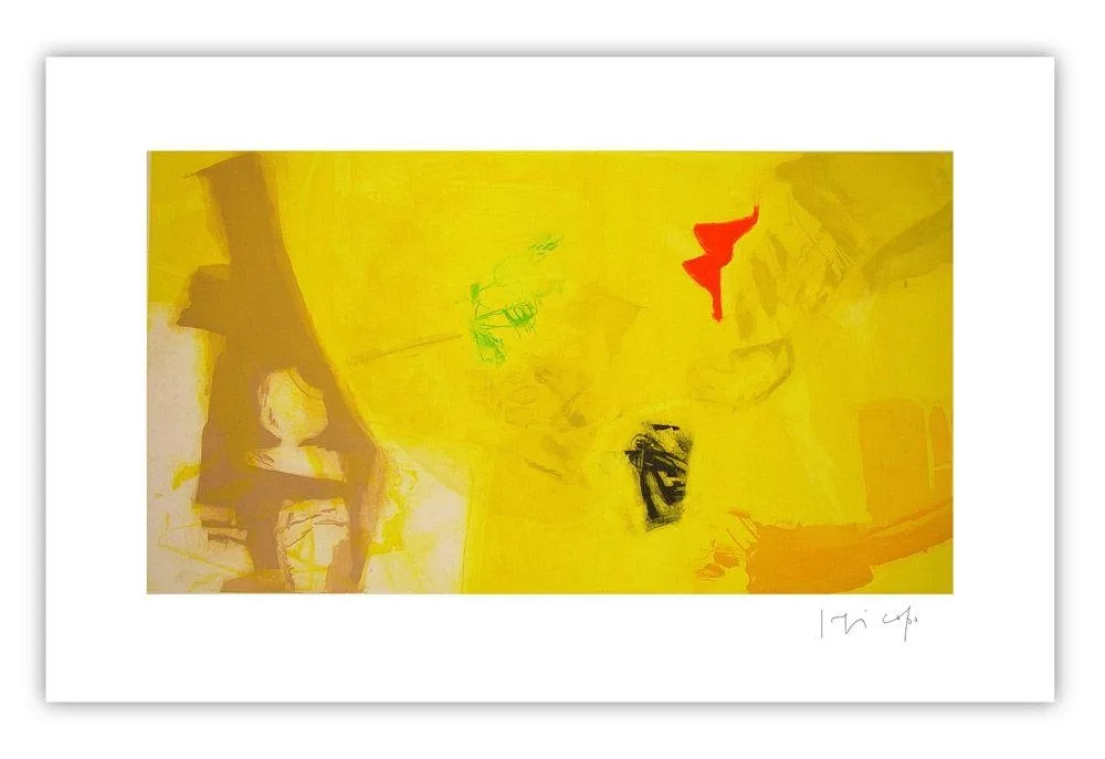 版画 Capa - Yellow and colors
