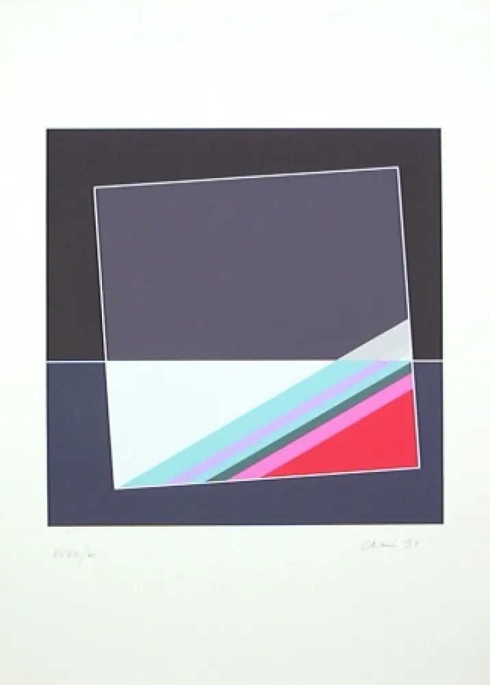 丝网印刷 Carmi - 