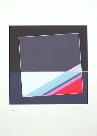 丝网印刷 Carmi - 