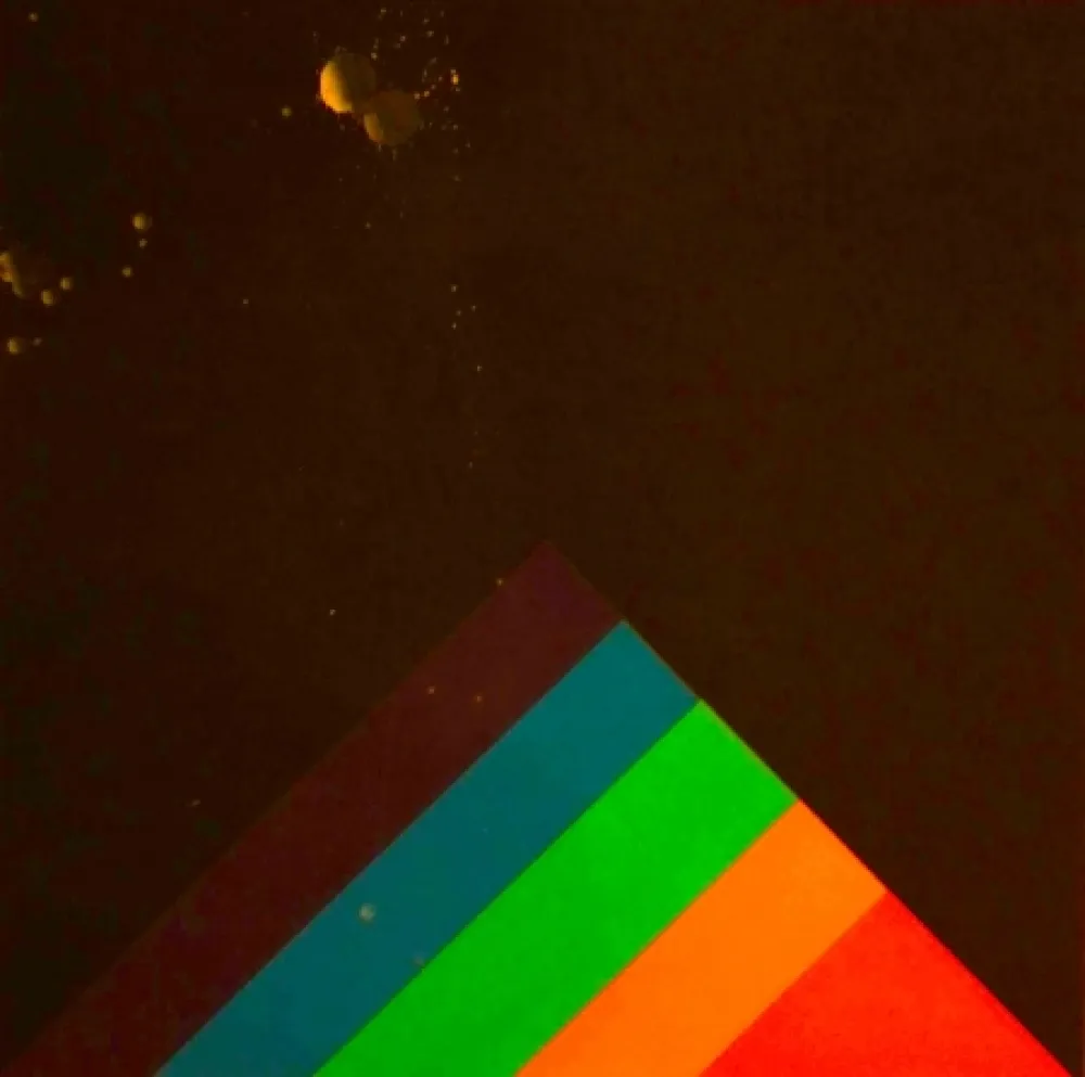 丝网印刷 Carmi - SENZA TITOLO