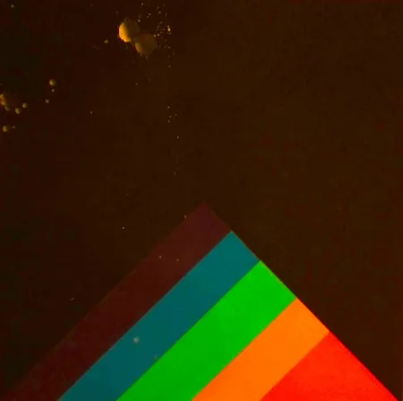 丝网印刷 Carmi - SENZA TITOLO