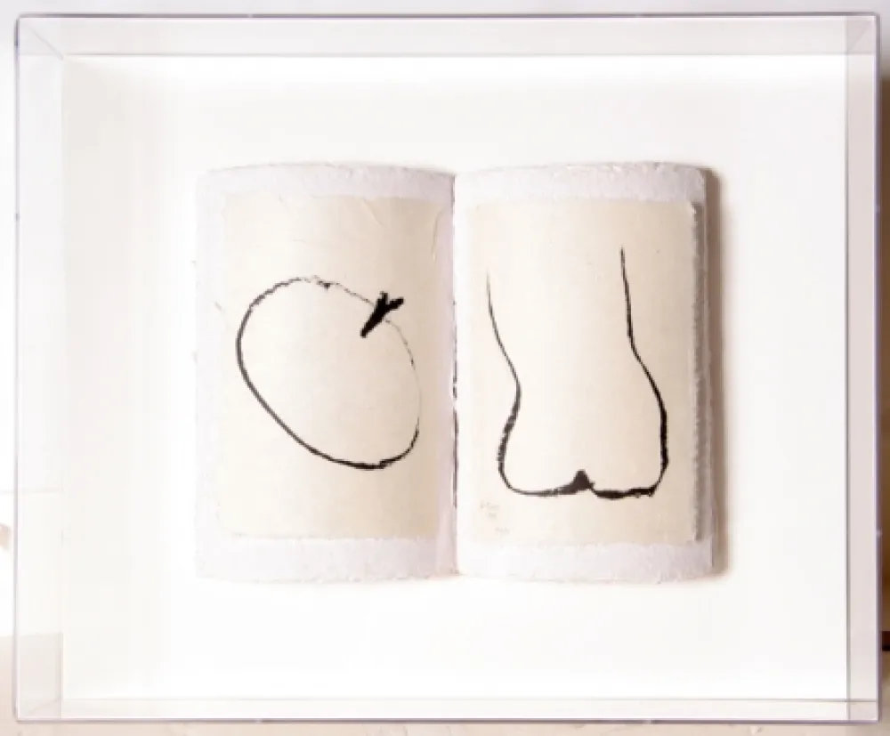 复数作品 Caro - Book of Eden