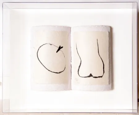 复数作品 Caro - Book of Eden