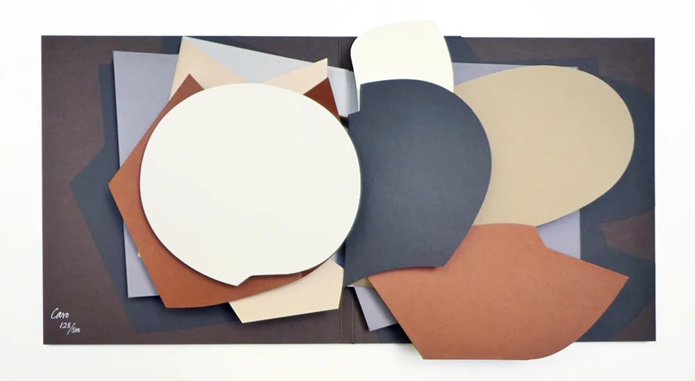 复数作品 Caro - Leaf Pool : 1996 - 2000