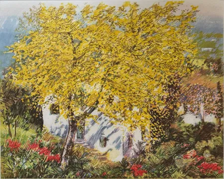 蚀刻版画 Cascella - Natura