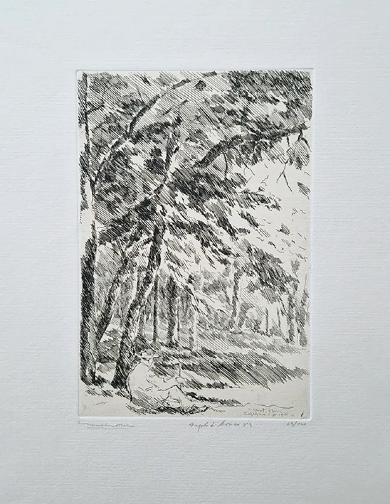 蚀刻版画 Castellani - Angolo di bosco