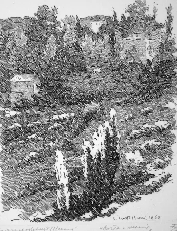 蚀刻版画 Castellani - Costa Avernio