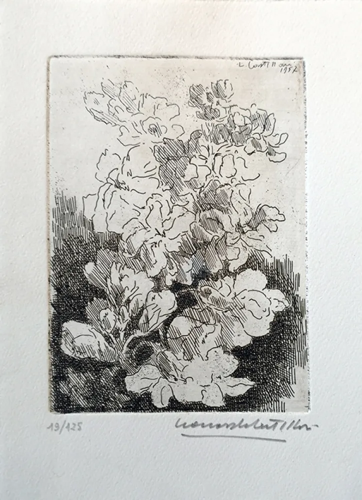 蚀刻版画 Castellani - Fiori