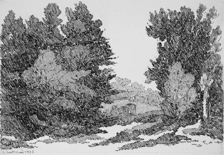 蚀刻版画 Castellani - La strada del cantoniere