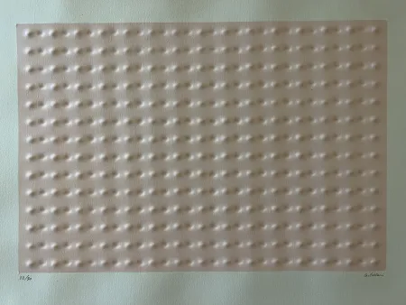 复数作品 Castellani - RILIEVO ROSA