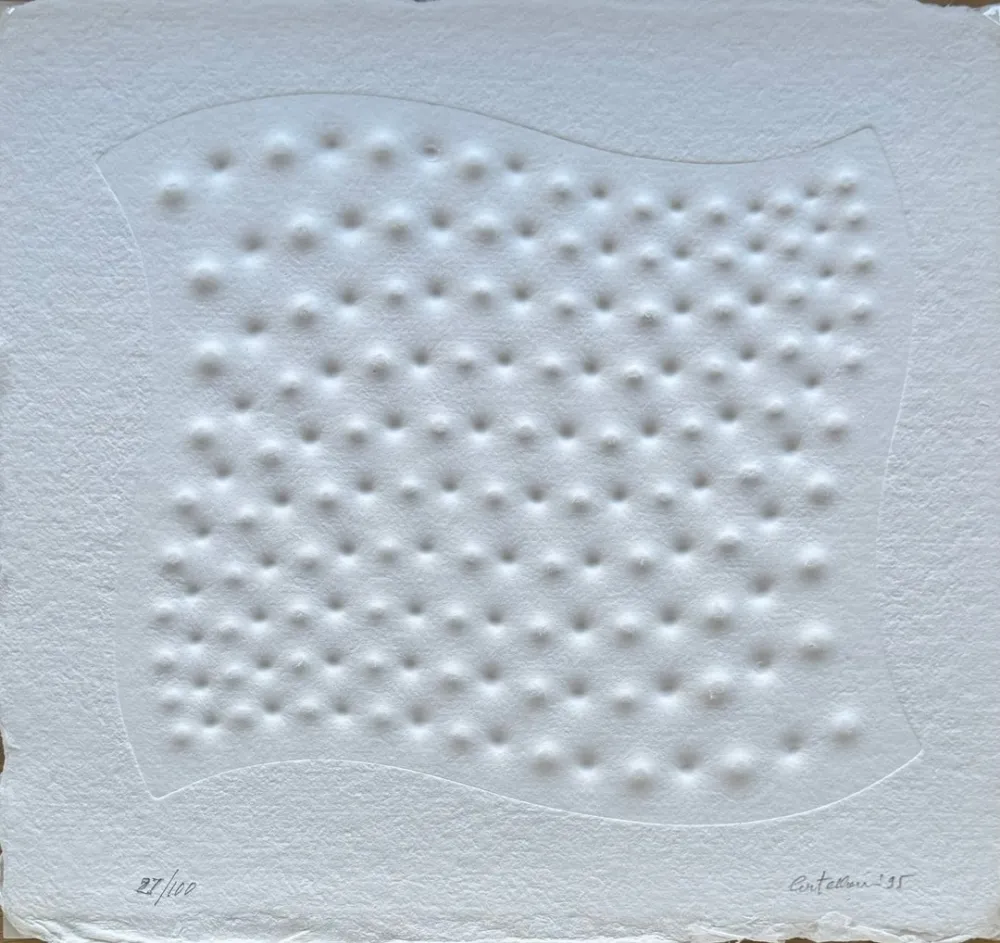 复数作品 Castellani - Superficie I