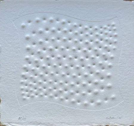 复数作品 Castellani - Superficie I