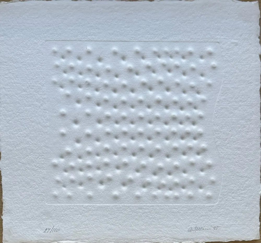 复数作品 Castellani - Superficie II