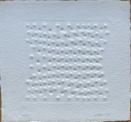 复数作品 Castellani - Superficie II