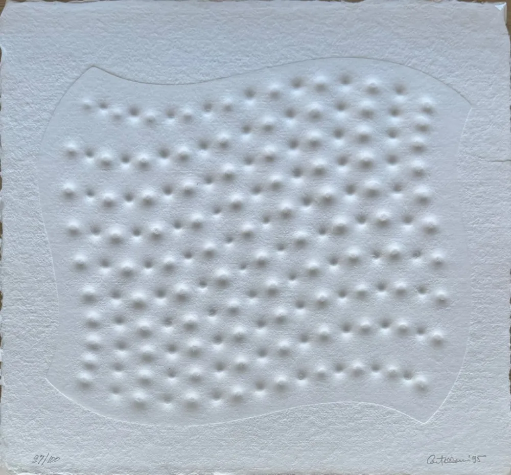 复数作品 Castellani - Superficie III