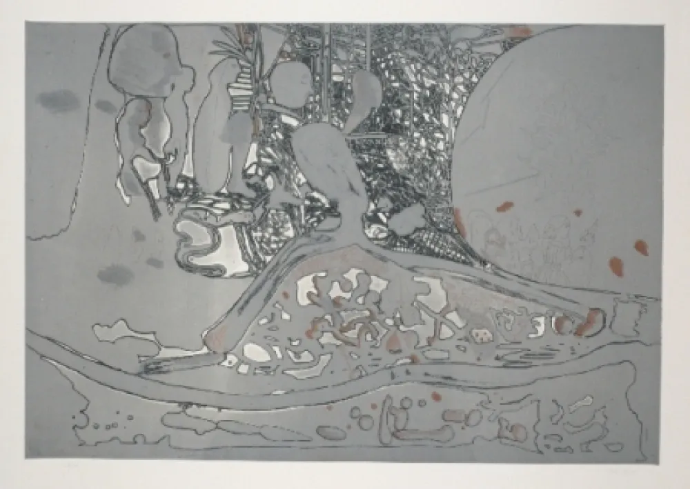 蚀刻飞尘法 Castillo - Jardin de invierno 2