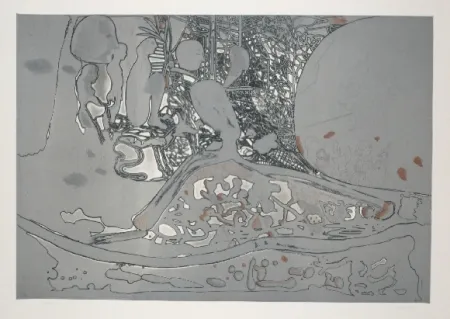 蚀刻飞尘法 Castillo - Jardin de invierno 2