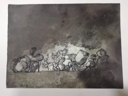 无技术 Castillo - Vista de Grünewald