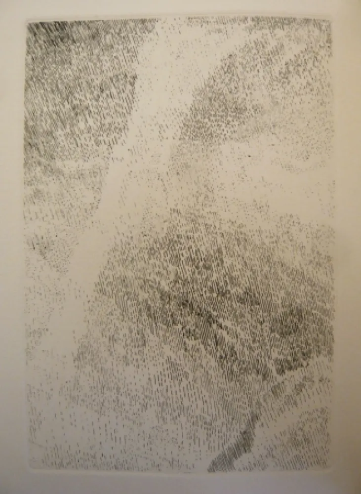 插图书 Celan Lestrange - Protocole