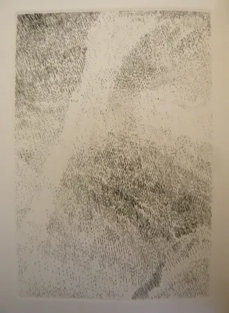 插图书 Celan Lestrange - Protocole