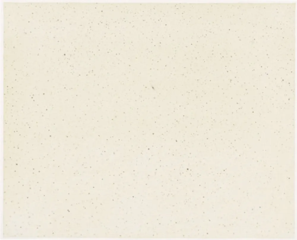 复数作品 Celmins - Night Sky 1 ( Reversed )