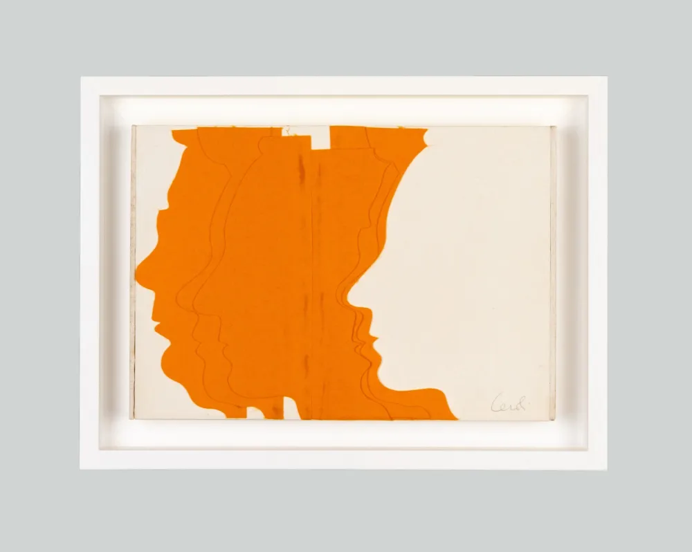 复数作品 Ceroli - I centocolori