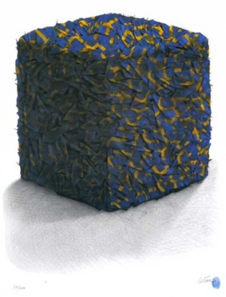 丝网印刷 Cesar - Portrait comp. drapeaux Suédois