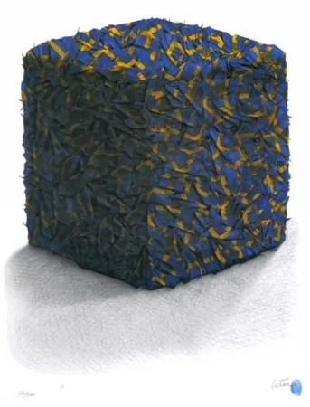 丝网印刷 Cesar - Portrait comp. drapeaux Suédois