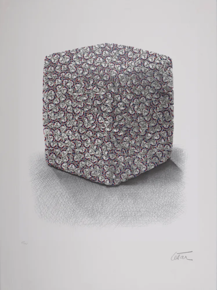 丝网印刷 Cesar - Portrait de Compression, C. 1980-1985