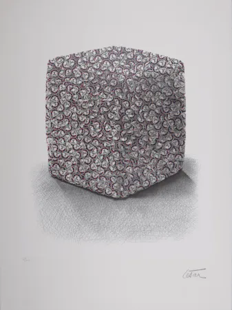 丝网印刷 Cesar - Portrait de Compression, C. 1980-1985