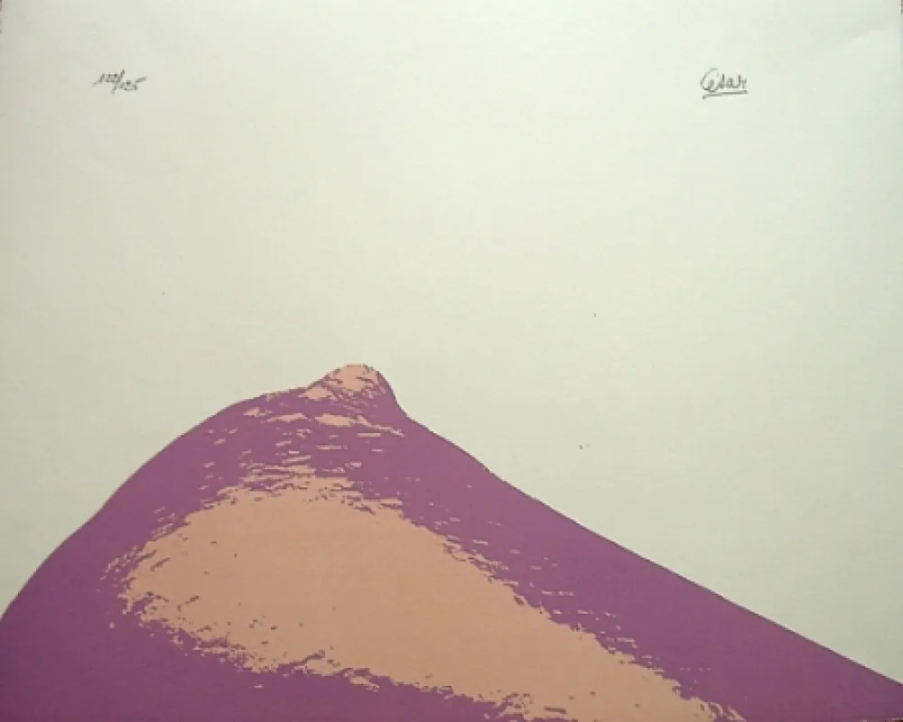 石版画 Cesar - Senza titolo,