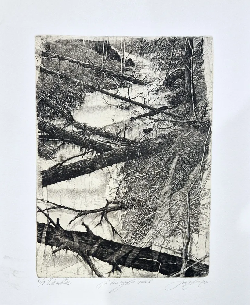 蚀刻版画 Ceschin - Là dove sgorgano torrenti