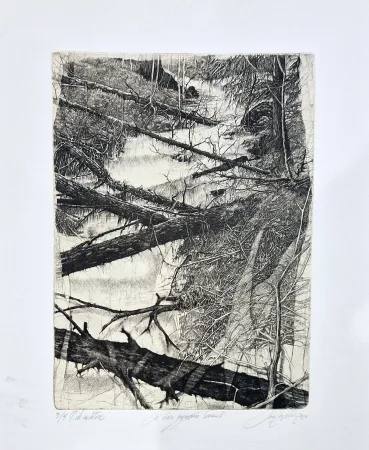 蚀刻版画 Ceschin - Là dove sgorgano torrenti