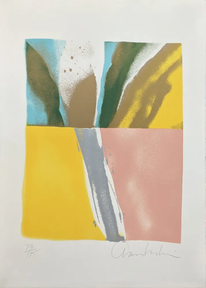 丝网印刷 Chamberlain - FLASHBACK VIII