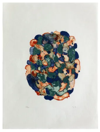 石版画 Chaudouët - Lichens 5