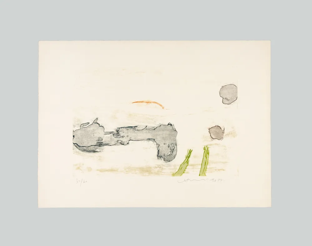 蚀刻飞尘法 Chin - Senza titolo